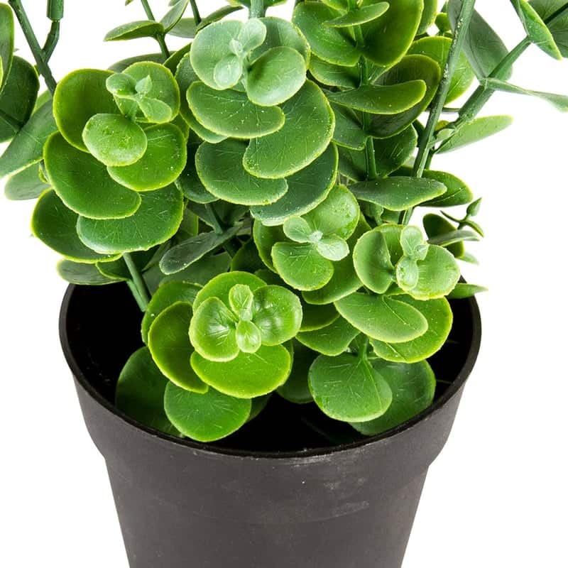 Willow &amp; Silk Artificial/Faux 27cm Green Eucalyptus Plant w/ Pot