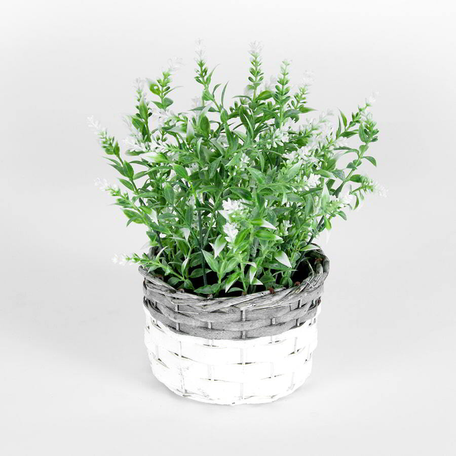 Willow &amp; Silk Artificial 26cm White-Stem Flower in Basket Plant