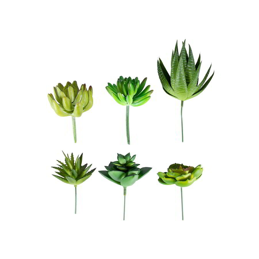 Willow &amp; Silk Artificial 5cm Set of 6 Assorted Succulent Stem Plant 