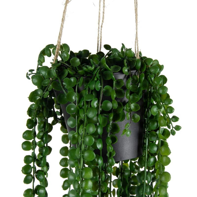 Willow &amp; Silk Artificial 75cm Coin Leaf Peperomia Hanging Planter