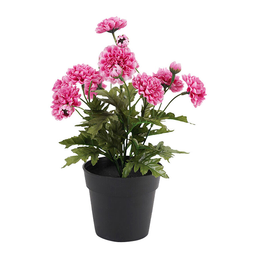 Willow &amp; Silk Potted Artificial Pink &#39;Mum&#39; Chrysanthemum 20x20x27cm