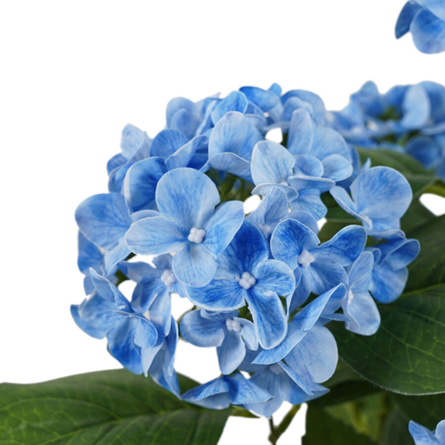 Willow &amp; Silk Potted Artificial Serene Blue Hydrangea 35x35x50cm