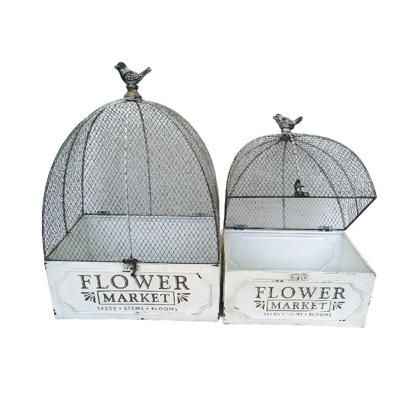 Willow &amp; Silk Metal 46/36cm Set/ 2 'Flower Market' Cloche Pot Planter Cages