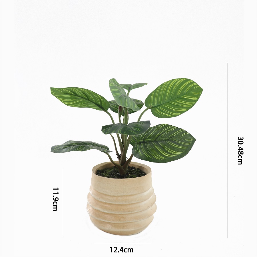 Willow &amp; Silk Artificial 34cm Green Arrowroot Plant in Ceramic Pot