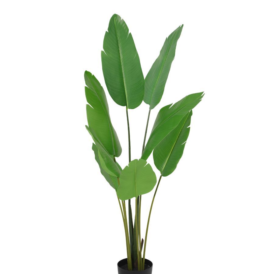 Willow &amp; Silk 153cm Potted Artificial Strelitzia Bird of Paradise Tree