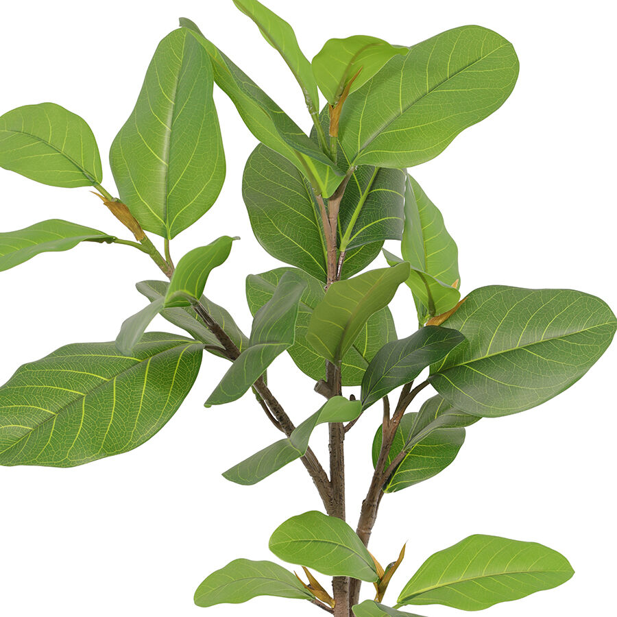 Willow &amp; Silk 92cm Potted Artificial Lofty Fig Ficus Tree