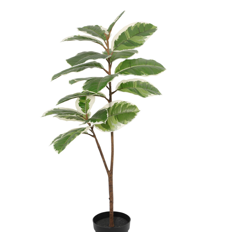 Willow &amp; Silk 118cm Potted Artificial Variegated Rubber Leaf Tree