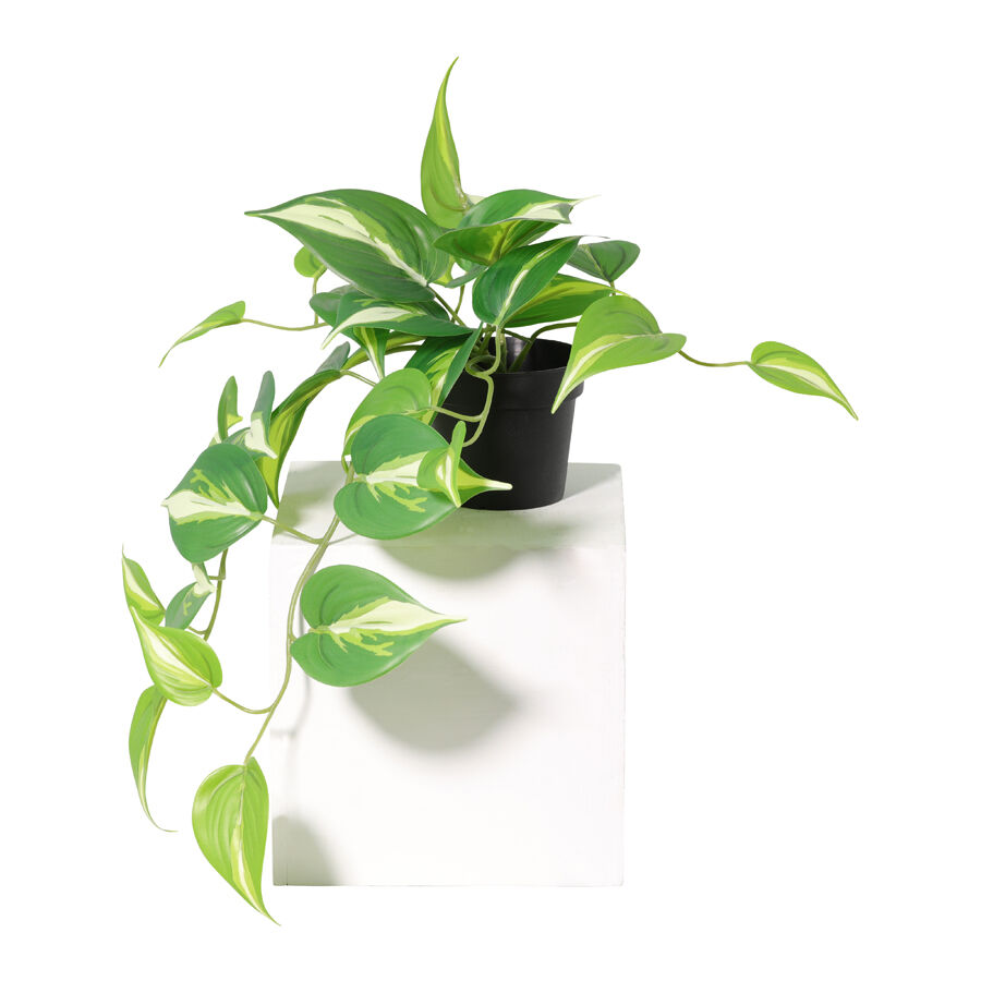 Willow &amp; Silk 42cm Potted Artificial Hanging Variegated Pothos