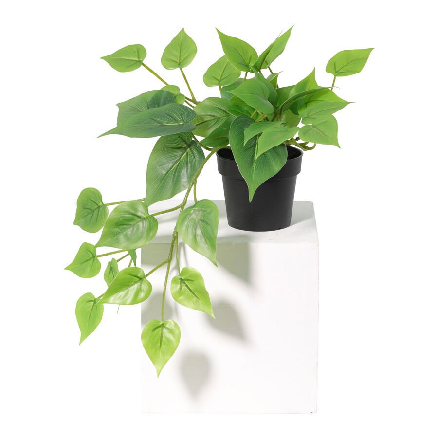 Willow &amp; Silk 35cm Potted Artificial Tranquil Hanging Pothos