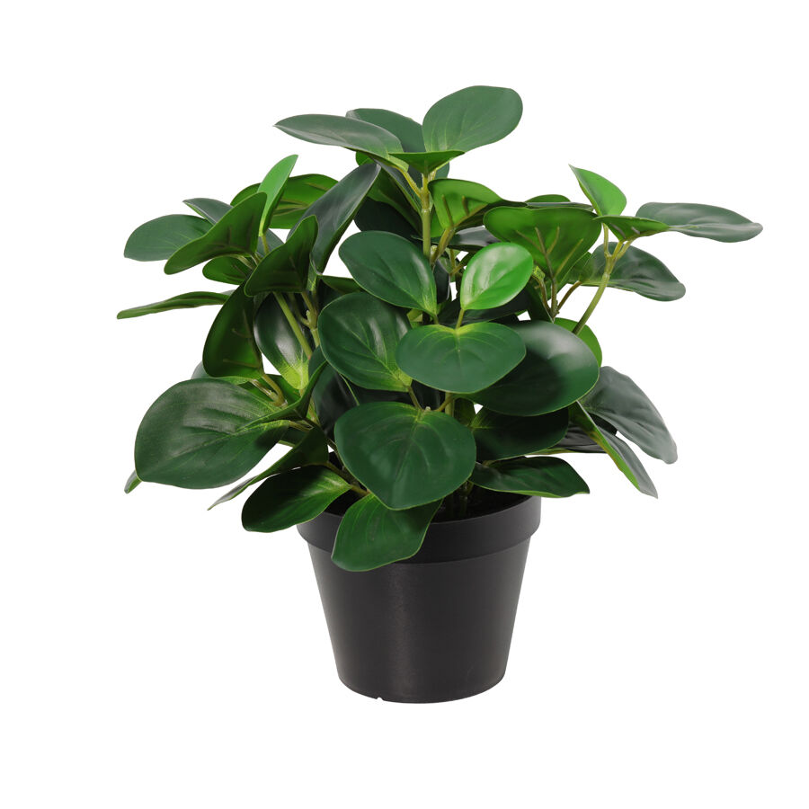 Willow &amp; Silk 33cm Potted Artificial Serenity Peperomia