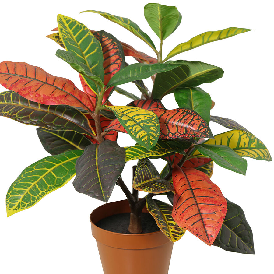 Willow &amp; Silk 38cm Potted Artificial Vibrant Leaf Calathea