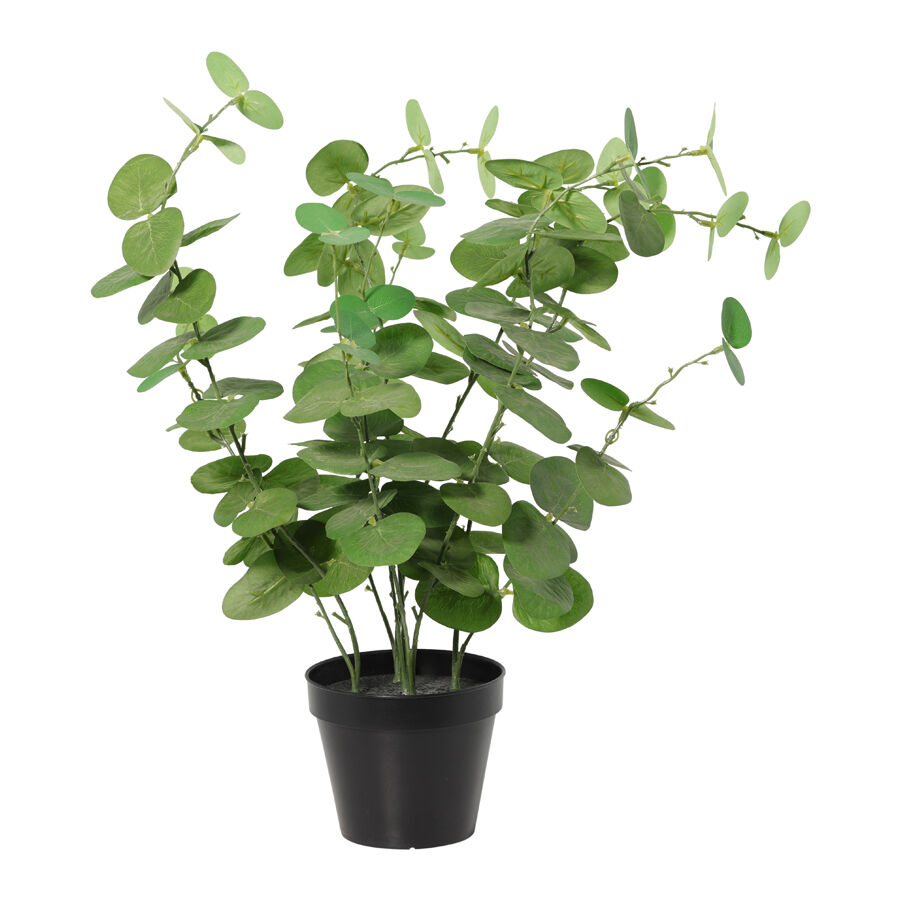 Willow &amp; Silk 48cm Potted Artificial Leafy Serenity Eucalyptus