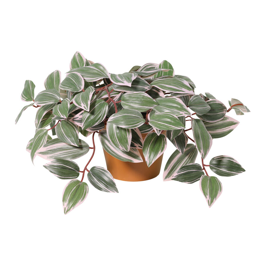 Willow &amp; Silk 25cm Potted Artificial Wandering Dude Plant