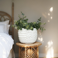Willow &amp; Silk Artificial 90cm Set of 6 Green Eucalyptus Plant