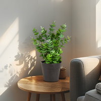 Willow &amp; Silk Artificial/Faux 27cm Green Eucalyptus Plant w/ Pot