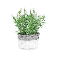 Willow &amp; Silk Artificial 26cm White-Stem Flower in Basket Plant