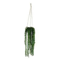 Willow &amp; Silk Artificial 75cm Coin Leaf Peperomia Hanging Planter