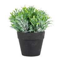 Willow &amp; Silk Artificial/Faux 17cm Green Fing Plant in Pot/Home Decor