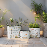 Willow &amp; Silk Oval 41/33/25cm Birds/Butterflies Set of 3 Bucket Planters