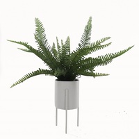 Willow &amp; Silk Artificial 56cm Green Fern Plant in Pot w/Stand