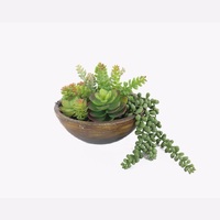 Willow &amp; Silk Artificial 20.5cm Green Succulent Plant in Bowl/Pot
