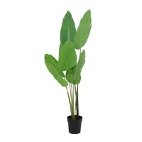 Willow &amp; Silk 153cm Potted Artificial Strelitzia Bird of Paradise Tree