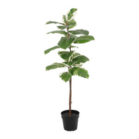 Willow &amp; Silk 118cm Potted Artificial Variegated Rubber Leaf Tree