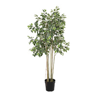 Willow &amp; Silk 168cm Potted Artificial Variegated Ficus Tree