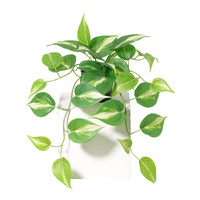 Willow &amp; Silk 42cm Potted Artificial Hanging Variegated Pothos