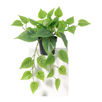 Willow &amp; Silk 35cm Potted Artificial Tranquil Hanging Pothos