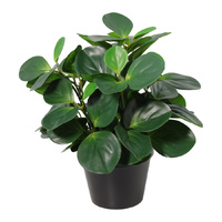 Willow &amp; Silk 33cm Potted Artificial Serenity Peperomia