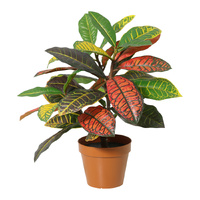 Willow &amp; Silk 38cm Potted Artificial Vibrant Leaf Calathea
