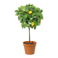 Willow &amp; Silk 43cm Potted Artificial Lemon Tree/Citrus Charm Pottery