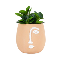 Willow &amp; Silk Cement 20cm Pablo Coral Abstract Face Pot/Planter